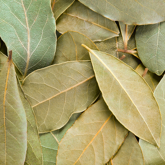 Feuille de laurier