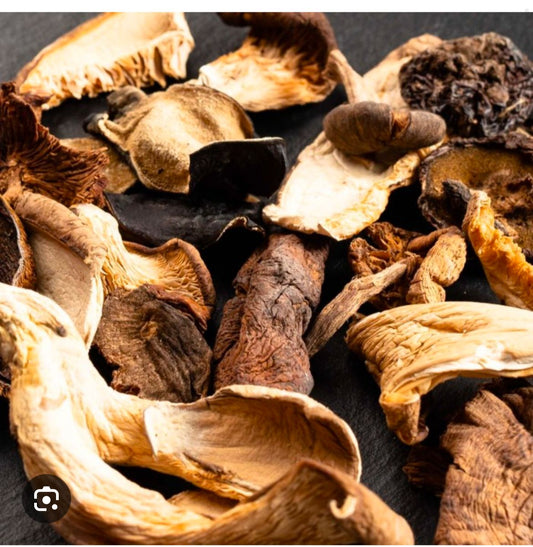 Champignon Palmier